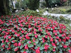 -四川大学(华西校区)