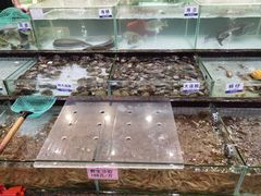 水产区-新海利海鲜城·41年珠海老字号(夏湾店)