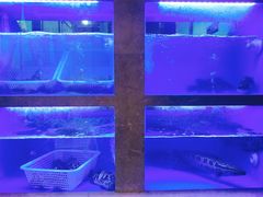 水产区-享月汤皇·海鲜小火锅·聚会(曲江创意谷店)