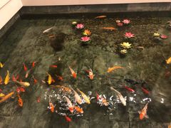 -听松楼-中餐厅.家宴(红梅公园店)