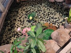 -贺庄·活鱼馆(珠吉路店)
