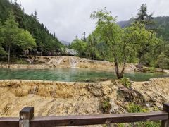 -黄龙山原始森林景区