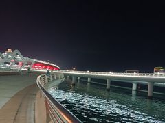 -演武大桥观景平台