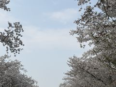 -苏宁钟山国际高尔夫酒店大堂酒廊