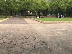 -新江湾城公园
