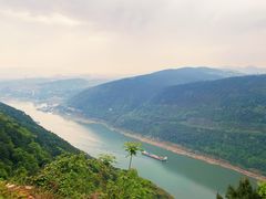 -铁山坪森林公园