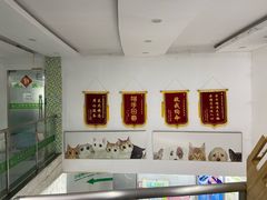 -爱侣宠医·鹦鹉专科·小型哺乳类·异宠专科(灵石路店)