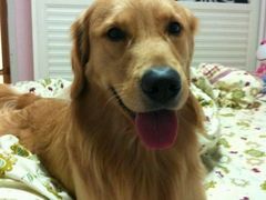 -乐嘟嘟宠物医院