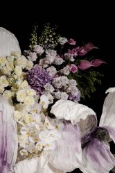 -美薇亭婚礼顾问