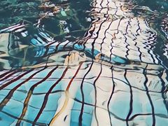 -龙达温泉生态城