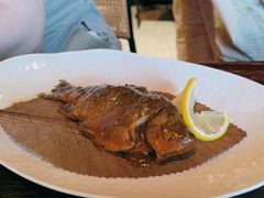 -滇野云南野生菌餐厅(陕西南路店)