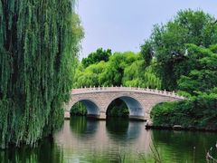-济南大明湖景区