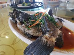 -兴隆槟榔园休闲农庄