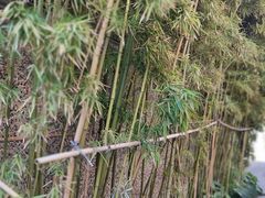-思南公馆