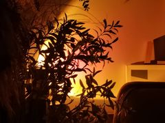 -Catail前苑(前门大街店)