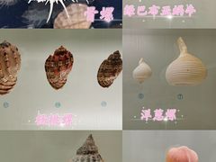 -青岛贝壳博物馆