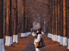 -黄海国家森林公园