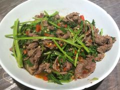 香菜炒牛肉-壹盏灯(惠农店)