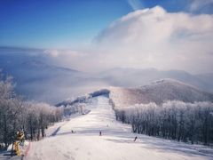-中旅松花湖滑雪场