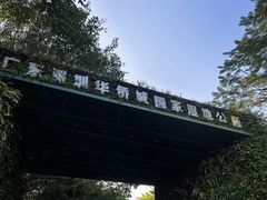 -华侨城湿地公园