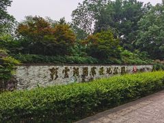 -重庆彩云湖湿地公园
