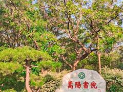 -禅宗少林·音乐大典