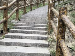 -白水寺森林公园