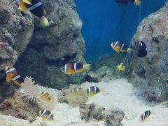 -福州罗源湾海洋世界旅游区