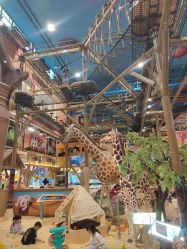 -卡通尼·Safari非洲探索乐园·生日会(金桥国际商业广场店)