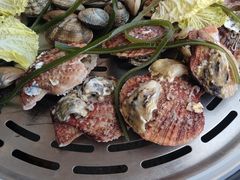 -必点蒸汽海鲜(止锚湾店)