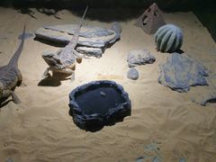 -顺德南宏海立方海洋公园