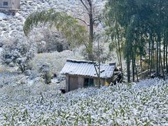 -东白山