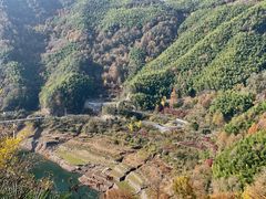 -四明山国家森林公园