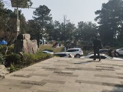 -铁山坪森林公园