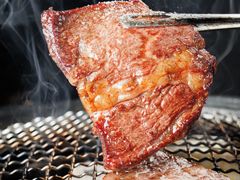 -道乐烧肉酒馆