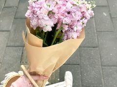 -溪岸路花鸟市场