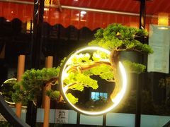 -喜上喜鸡煲翅(吉大店)