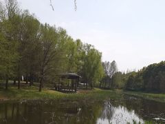 -同里国家湿地公园