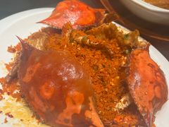 -大连湾旭日·家宴·海肠捞饭(马栏广场店)