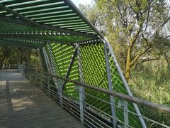 -西湖风景区-江洋畈生态公园