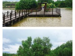 -大湾区中央湿地公园