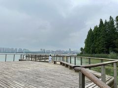 -金鸡湖桃花岛