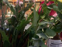 -觅唐MITONG(鸟巢店)