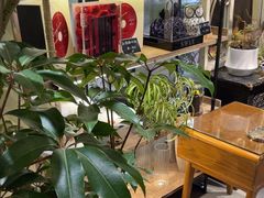 -弗劳尔花艺坊(龙涛店)