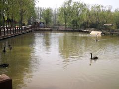 -溱湖国家湿地公园