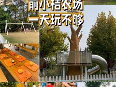 -前小桔亲子创意农场·草莓采摘·露营烧烤