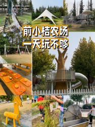 点击看大图 -前小桔亲子创意农场·草莓采摘·露营烧烤
