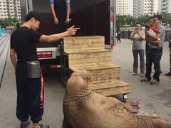-大连圣亚海洋世界
