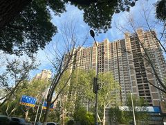 -奥体中心游泳馆