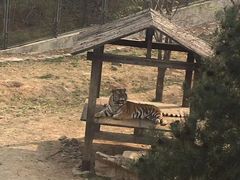 -石家庄市动物园